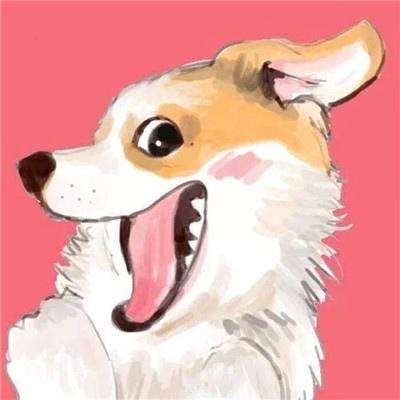重返大航海