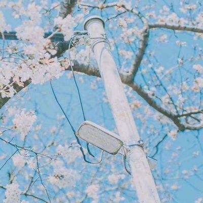 起猛了 看见机器人组团跳《茉莉花》